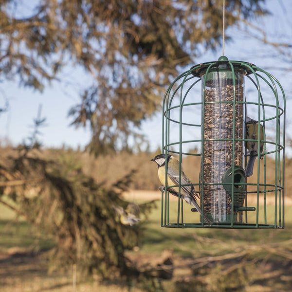 Vogelhäuschen Samensilo Anti-Eichhörnchen