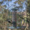 Vogelhäuschen Samensilo Anti-Eichhörnchen