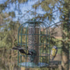 Vogelhäuschen Samensilo Anti-Eichhörnchen