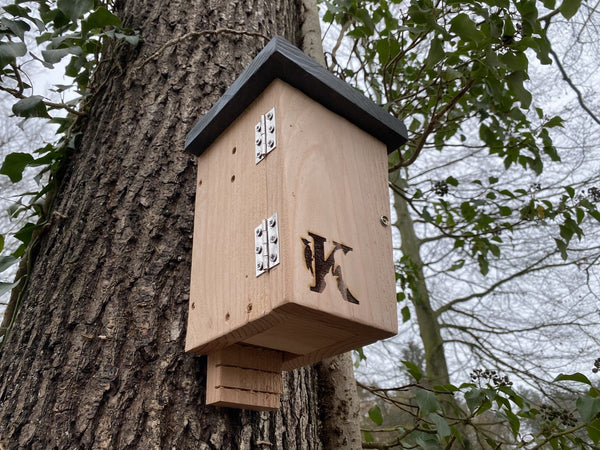 Vleermuiskast Douglashout Zonnige Plek | Kooprijk – foto 3