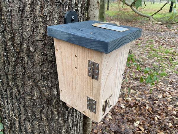 Vleermuiskast Douglashout Zonnige Plek | Kooprijk – foto 2