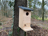 Kooprijk - Eichhörnchen