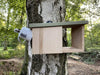 CaptureWILD - Robin