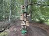 CaptureWILD - Eichhörnchen