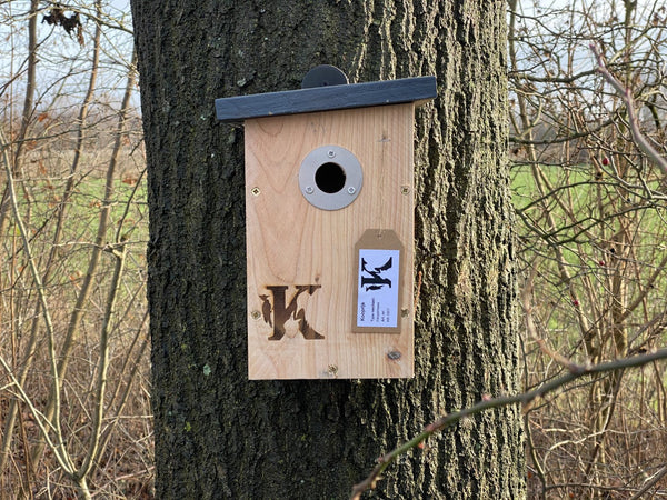 Blaumeisennistkasten Douglasienholz Edelstahl 29mm | Kooprijk
