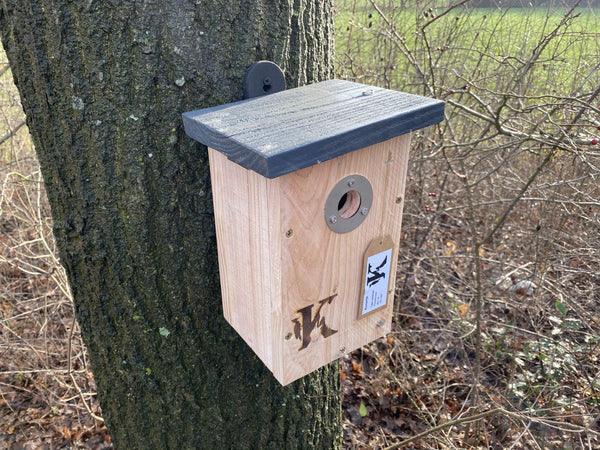 Blaumeisennistkasten Douglasienholz Edelstahl 29mm | Kooprijk