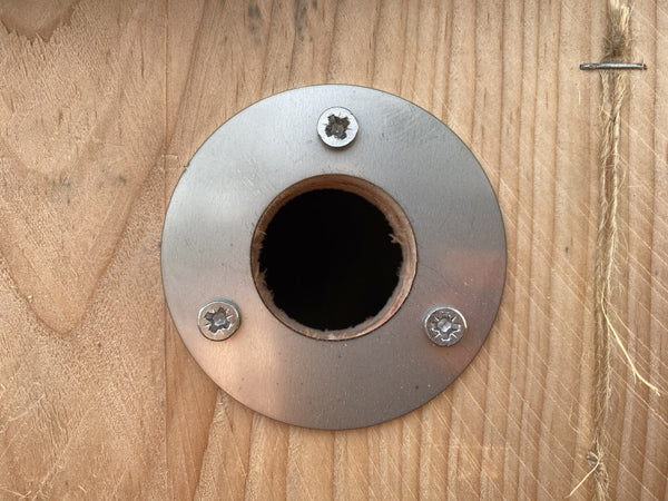 Kooprijk - Blaumeise