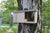 CaptureWILD - Robin