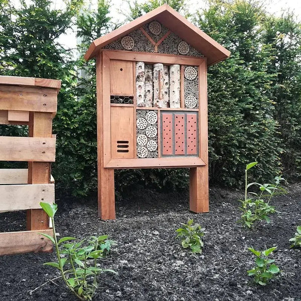 Insektenhotel Korsika