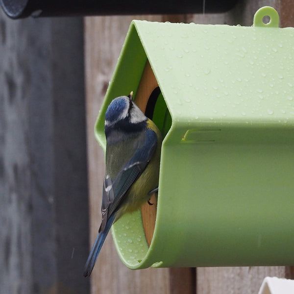 SingingFriend - Erdnussbutterdosenhalter Evie - Limette