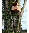 Turmfalke-Box