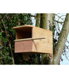 Turmfalke-Box