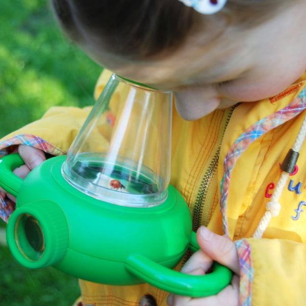 Lernbox für Insekten