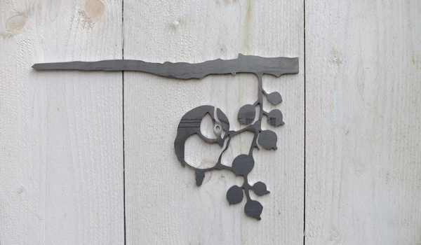 Birdwise - Kohlmeise hängt