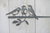 Birdwise - Kohlmeisen-Trio