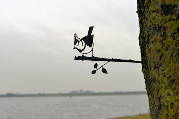 Birdwise - Haubenmeise