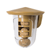 SingingFriend - Multi feedR transparent braun
