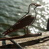 Birdwise - Möwe