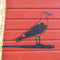 Birdwise - Möwe