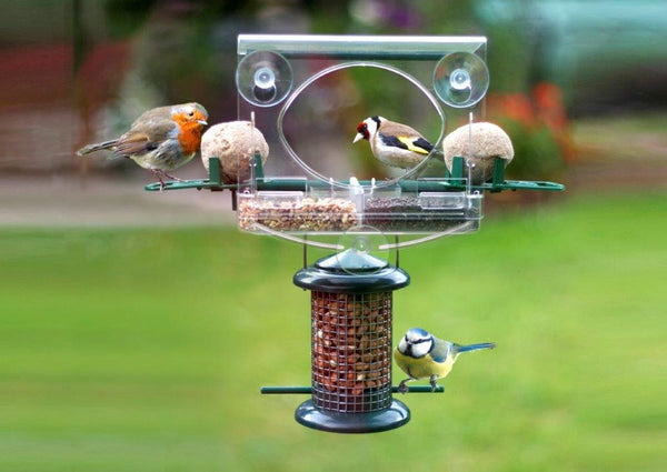 Bolmsö - Vogelhäuschen total