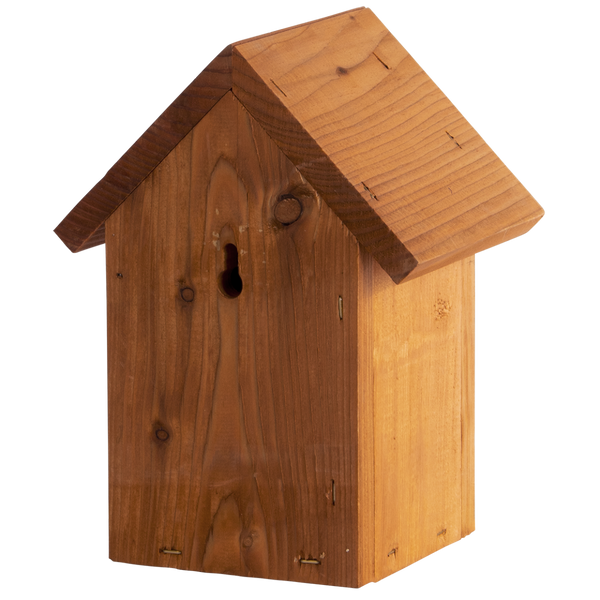 Nistkasten Wren Douglas Wood