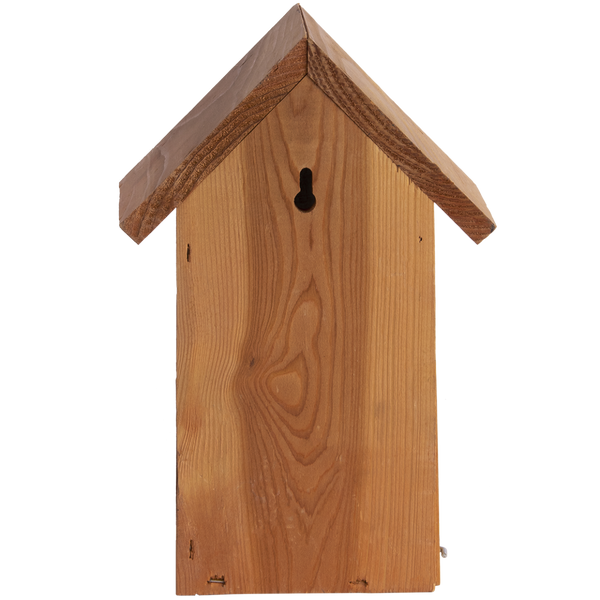 Nistkasten Blaumeise Douglasie