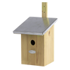 Spiegel Kohlmeisen Vogelhaus