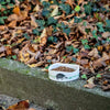 Premium egelvoer 600 gram – Calorierijke brokjes | CJ Wildlife