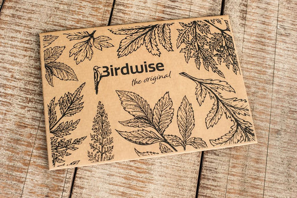 Birdwise - Kohlmeisenpaar
