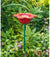 Petal Bird Feeder rot