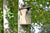 Hohles Vogelhaus Simon