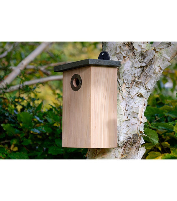 Roofdierbestendige Nestkast FSC-hout 32mm | Wildlifeworld