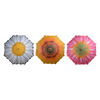 Schirmblumen