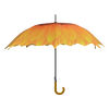 Schirmblumen