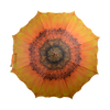Schirmblumen