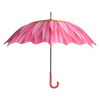 Schirmblumen