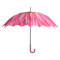 Schirmblumen