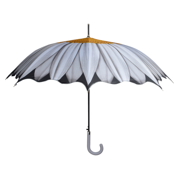 Schirmblumen