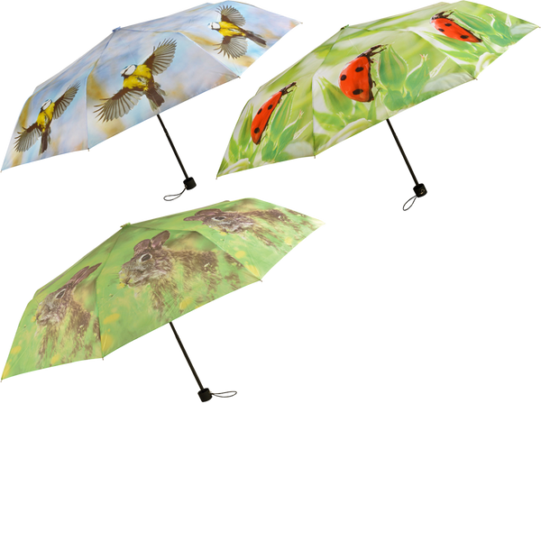 Faltbarer Regenschirm sortiert