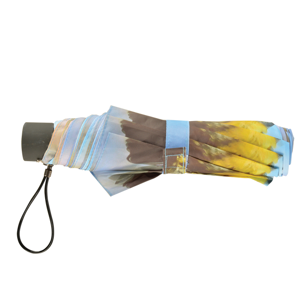 Faltbarer Regenschirm sortiert