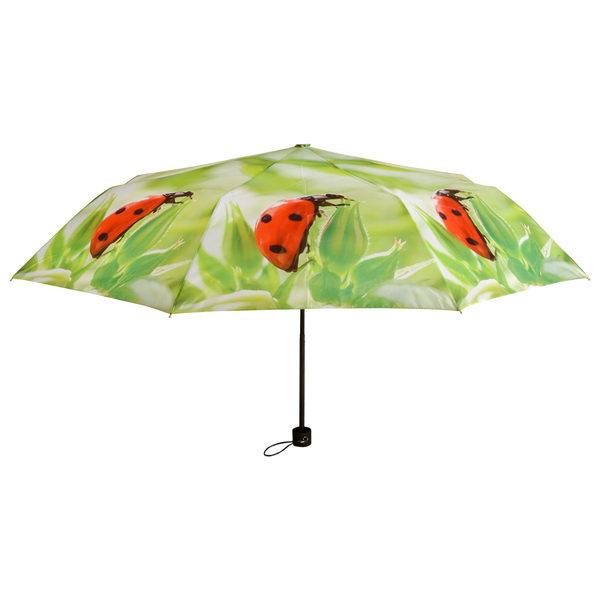 Faltbarer Regenschirm sortiert