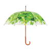 Regenschirm Baumkrone