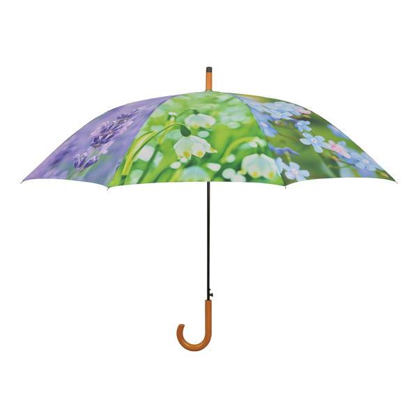 Schirmblumen