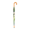 Schirmblumen