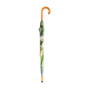 Schirmblumen