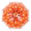 Regenschirm Baumkrone Herbst