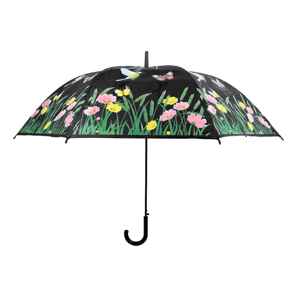 Regenschirmvogel mit Farbwechsel