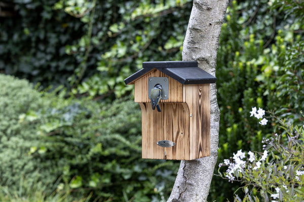 Nestkast Denton 28mm – in de tuin