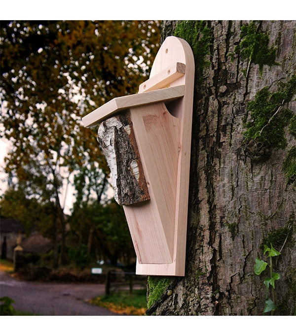 Baum CreeperBox