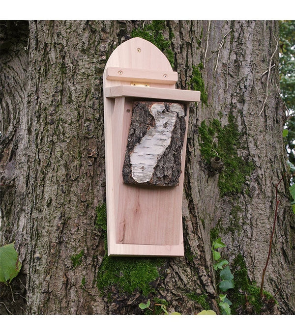 Baum CreeperBox